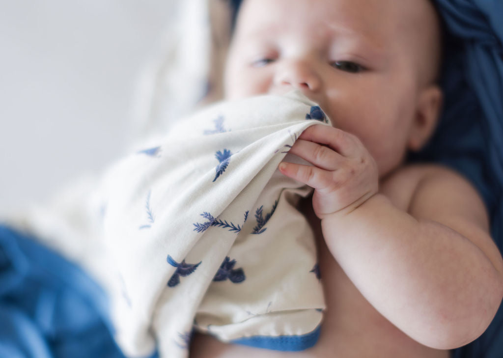 Blue Jays Bamboo Blanket - 47in X 47in Double Layered Blanket