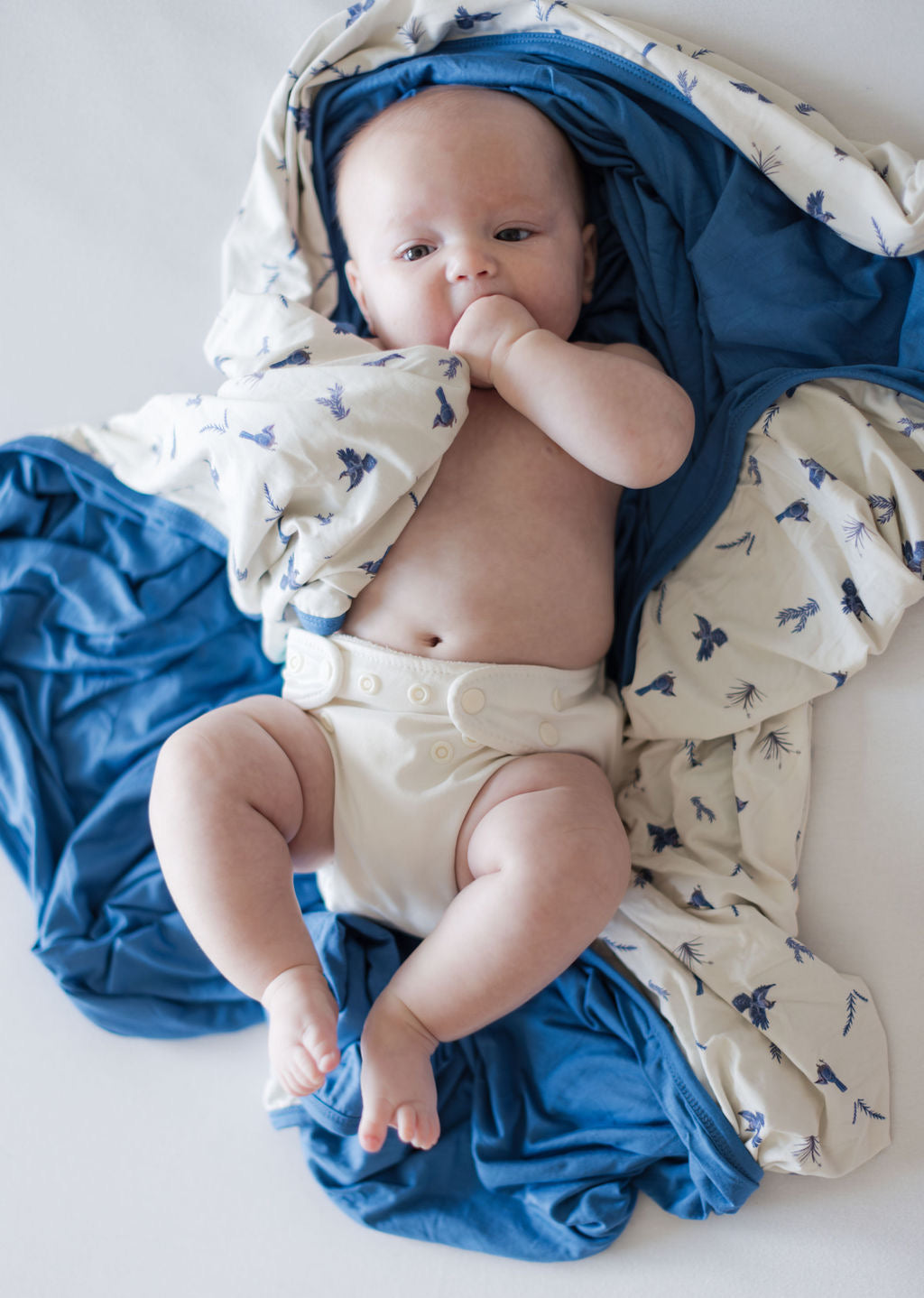 Blue Jays Bamboo Blanket - 47in X 47in Double Layered Blanket
